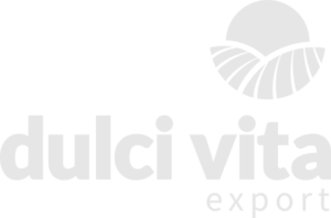 logotipo 2024 dulci vita claro - cinza